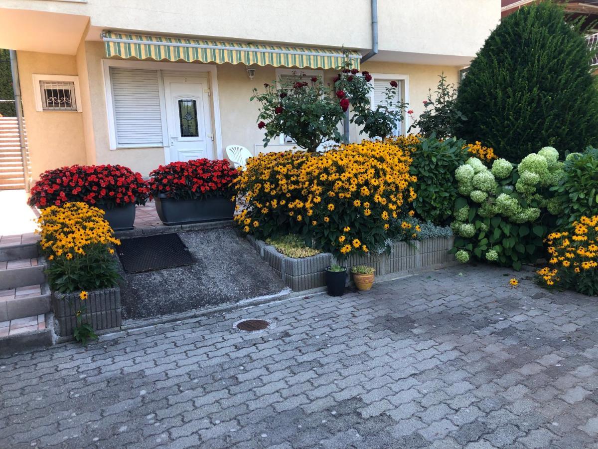 Jozsef Apartments House ザラカロシュ エクステリア 写真