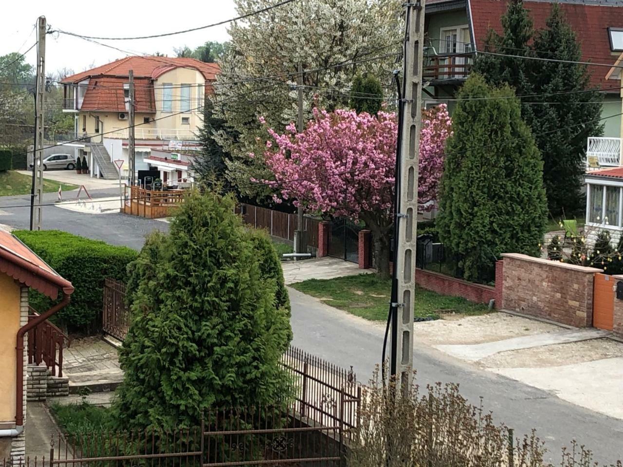 Jozsef Apartments House ザラカロシュ エクステリア 写真