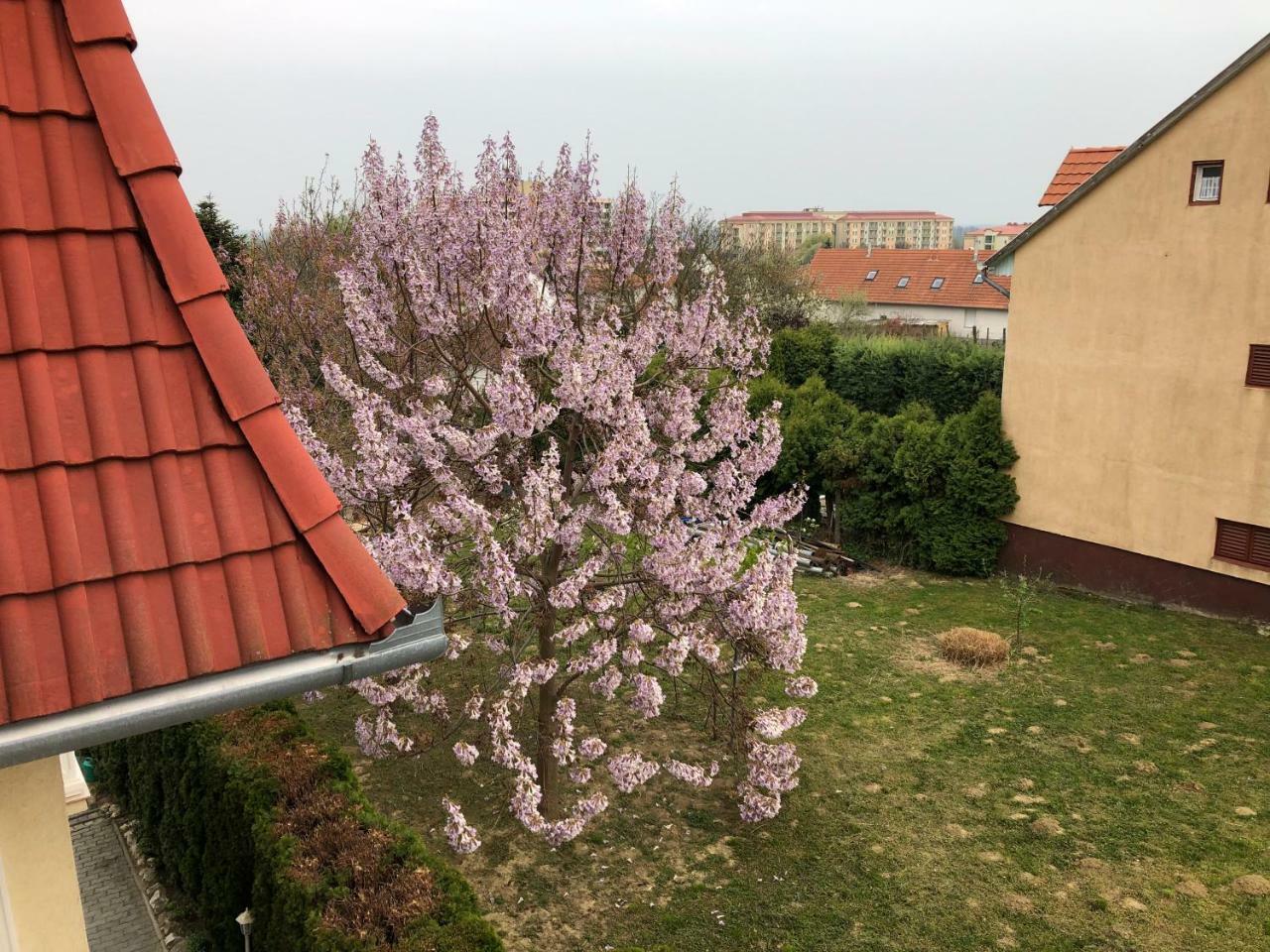Jozsef Apartments House ザラカロシュ エクステリア 写真