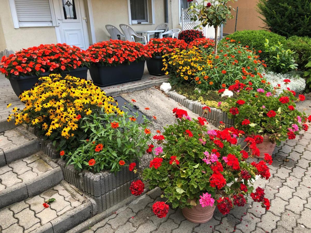 Jozsef Apartments House ザラカロシュ エクステリア 写真